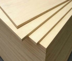 泰安市岱岳區(qū)綠博雅木業(yè)加工廠 高檔雙面木工板